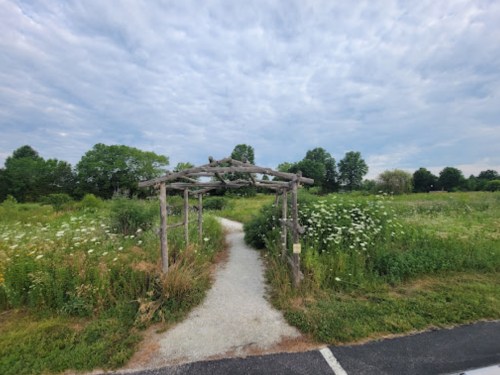 A wooden archway leads into a lush, green field under a cloudy sky. Wildflowers and tall grass surround the path.