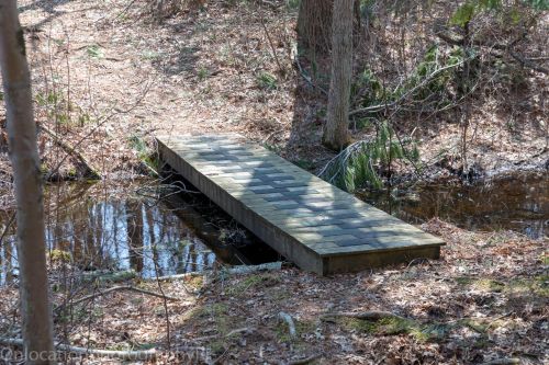A wooden bridge spans a small stream in a wooded area, surrounded by fallen leaves and greenery.