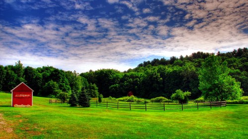 A vibrant green field with a red barn, surrounded by trees and a blue sky with fluffy clouds.