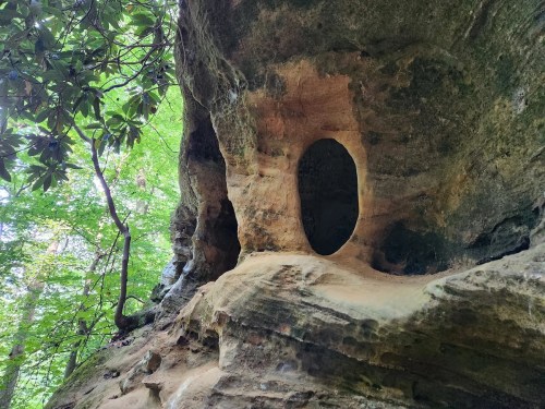 A natural rock formation with a hollowed-out opening, surrounded by lush green foliage.