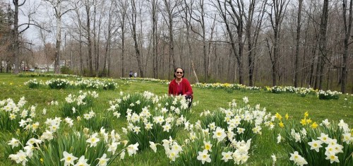 A person in a red sweater sits among blooming white and yellow flowers in a grassy field surrounded by bare trees.