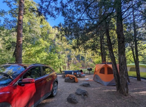 A campsite with a red car, orange tent, and green trees in a natural setting.