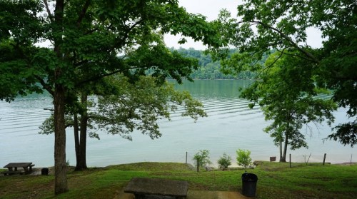 A serene lake view framed by trees, with gentle ripples on the water's surface and a picnic area in the foreground.