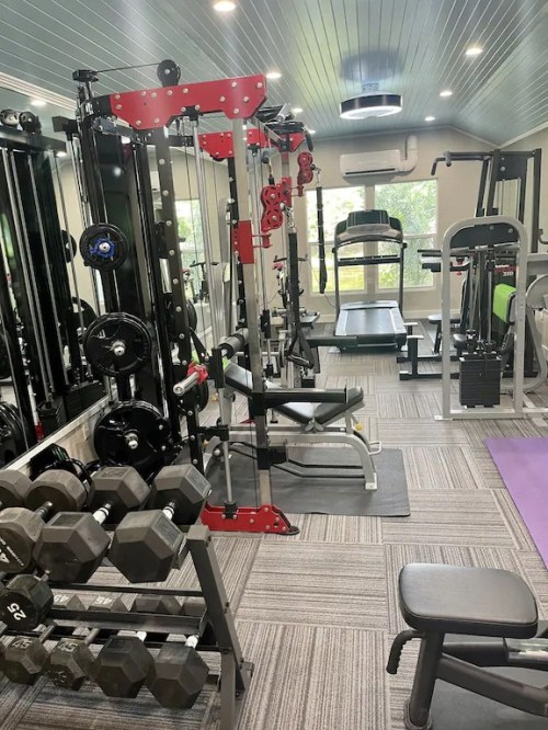 A well-equipped home gym featuring weights, a cable machine, a treadmill, and exercise mats.