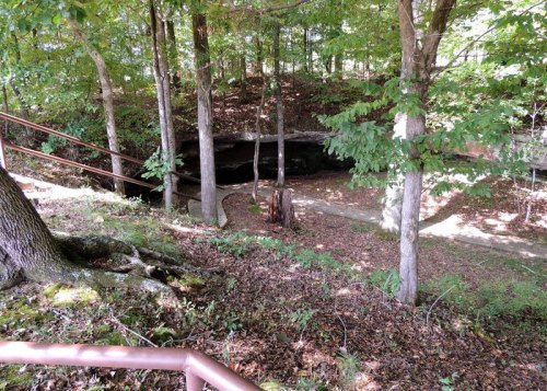 A wooded area with trees surrounding a cave entrance, featuring a path and a wooden railing.