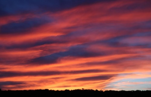 Vibrant sunset with swirling clouds in shades of orange, pink, and purple against a dark silhouette of trees.