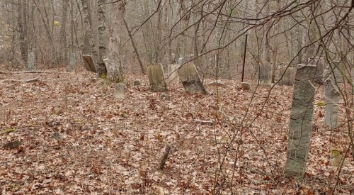 A wooded area with weathered gravestones partially covered by fallen leaves and surrounded by bare trees.
