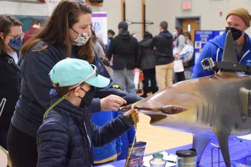 A child interacts with a shark model at an event, while adults observe, all wearing masks.