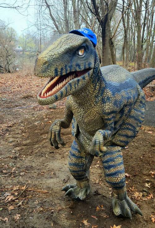 A dinosaur costume wearing a blue cap stands in a wooded area with bare trees and fallen leaves.