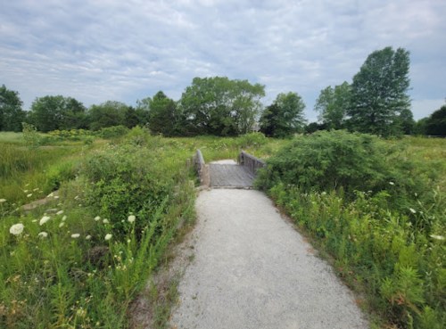 A gravel path leads to a wooden bridge surrounded by lush greenery and wildflowers under a cloudy sky.