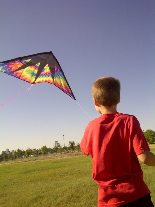 A child in a red shirt flies a colorful kite against a clear blue sky in a grassy field.