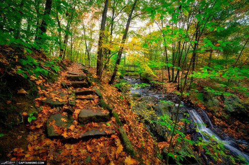 A serene forest path with stone steps beside a flowing stream, surrounded by colorful autumn leaves.