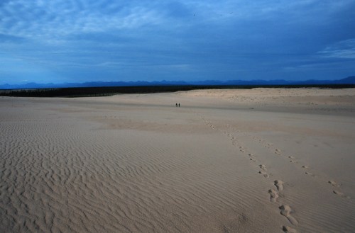 Two small figures walk across a vast sandy landscape under a blue sky, with distant mountains on the horizon.