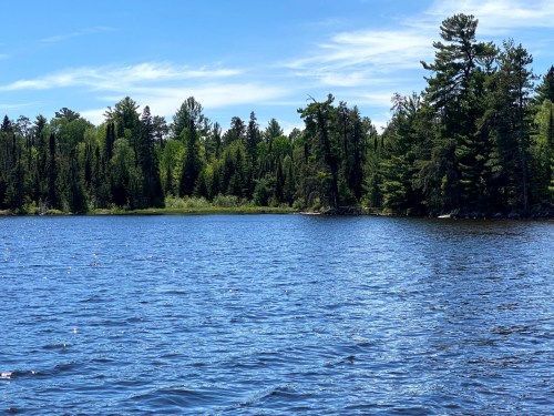 A serene lake surrounded by lush green trees under a clear blue sky.
