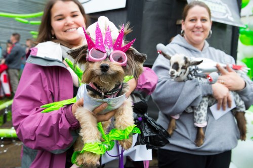 Two women hold dressed-up pets: a dog in sunglasses and a goat in a costume, at a festive outdoor event.
