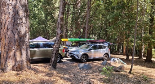 Two cars parked in a wooded campsite, with kayaks on top and camping gear scattered nearby.