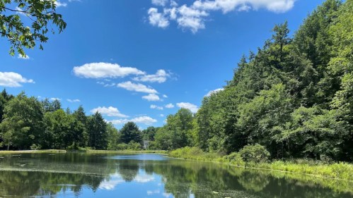 A serene lake surrounded by lush green trees under a bright blue sky with fluffy white clouds.