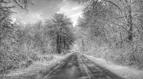 A snow-covered road flanked by trees, creating a serene winter landscape in black and white.