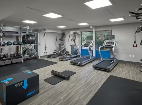 A modern gym with treadmills, ellipticals, weights, and exercise mats in a well-lit space.