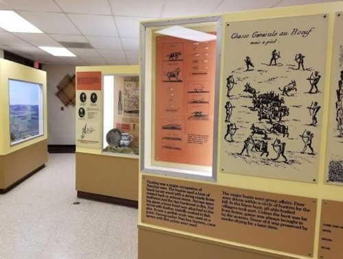 Exhibit showcasing historical hunting displays with illustrations and text panels in a museum setting.