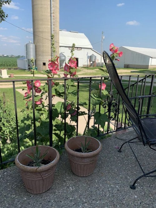 A sunny porch with two potted plants, a chair, and a view of a farm with silos and blooming flowers in the background.