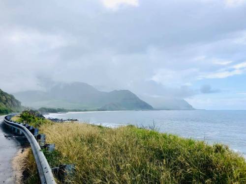 A coastal road curves along a grassy shoreline with misty mountains in the background under a cloudy sky.