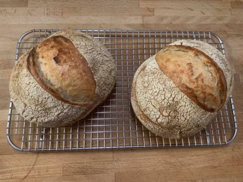 Two round loaves of crusty bread cooling on a wire rack, with a rustic, cracked crust.