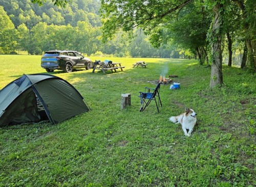 A campsite with a tent, a dog resting on the grass, a campfire, picnic tables, and a parked car in a green field.