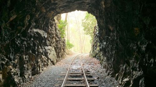 View from inside a rocky tunnel, with railroad tracks leading out to a bright, tree-lined path.