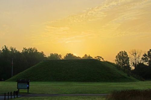 Sunrise over a grassy mound surrounded by trees, with a clear sky and a hint of clouds.