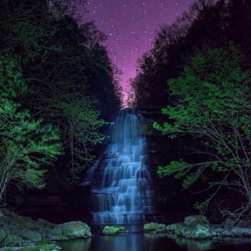 A serene waterfall illuminated by green light, surrounded by trees under a starry purple sky.