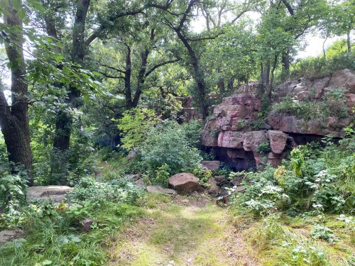 A lush, green forest path surrounded by trees and rocky outcrops, with sunlight filtering through the leaves.