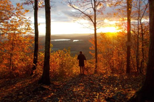 A person stands among autumn trees, watching a sunset over a valley filled with colorful foliage.