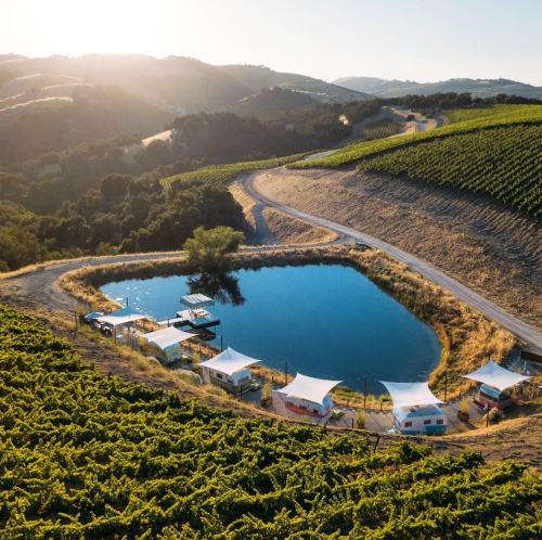 A serene vineyard landscape with a pond, tents, and a winding road under a bright sky.