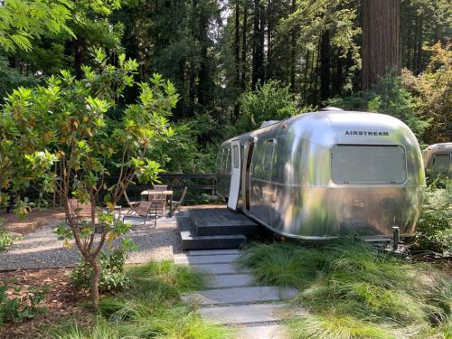 A shiny Airstream trailer parked among lush greenery, with a small patio and table in a serene outdoor setting.