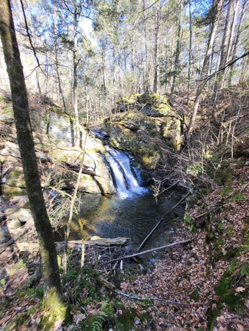 A serene waterfall cascades over rocks in a wooded area, surrounded by trees and fallen leaves.