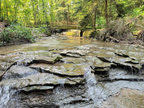 A serene forest scene featuring a stream flowing over rocks, with a wooden bridge in the background surrounded by trees.