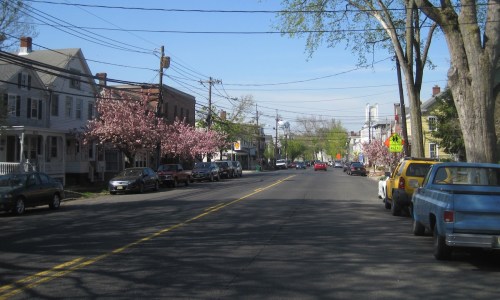 A tree-lined street with blooming cherry blossoms, parked cars, and a clear blue sky in a small town setting.
