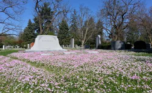 A serene cemetery scene with a large gravestone surrounded by a field of pink flowers under a clear blue sky.