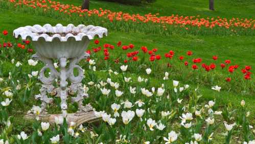 A decorative stone planter surrounded by vibrant red, orange, and white tulips in a lush green garden.