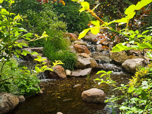 A serene stream flows over rocks, surrounded by lush greenery and vibrant plants in a tranquil garden setting.