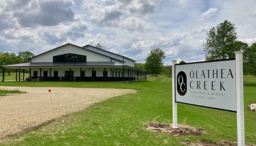 A modern winery building with a sign reading "Olathea Creek Vineyard & Winery" surrounded by green grass and trees.