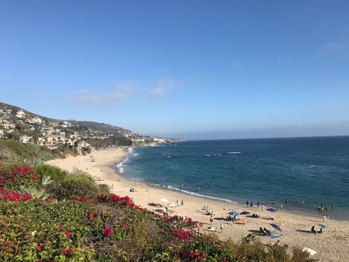 A scenic beach view with gentle waves, sandy shore, and colorful flowers in the foreground under a clear blue sky.