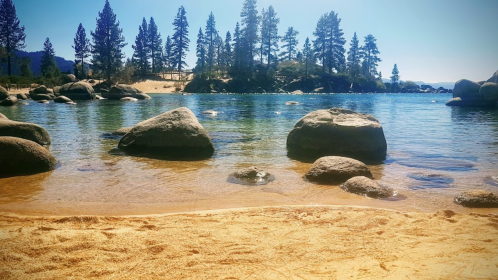 A serene lakeside scene with clear water, sandy beach, and tall pine trees under a bright blue sky.