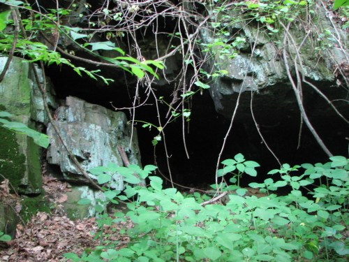 A dark cave entrance surrounded by lush green foliage and rocky terrain.