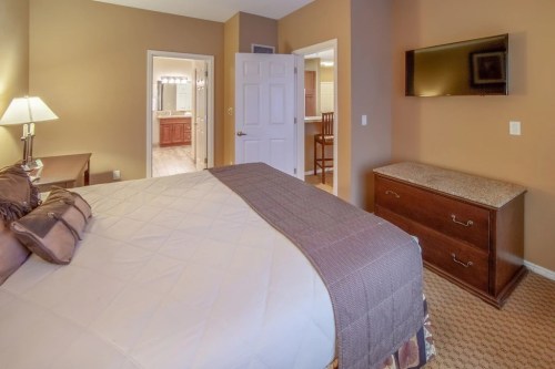 Cozy bedroom with a large bed, dresser, and a TV, featuring warm brown walls and an adjoining bathroom.
