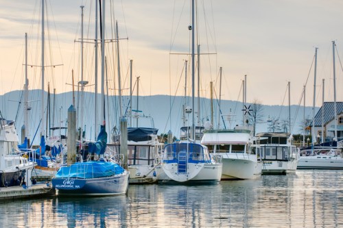 A peaceful marina scene with various boats docked, reflecting in calm water under a soft, cloudy sky.