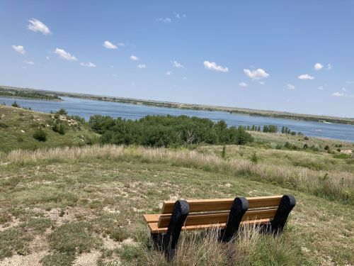 A wooden bench overlooks a serene lake surrounded by green grass and trees under a blue sky with fluffy clouds.