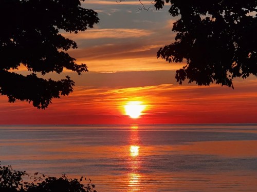 A vibrant sunset over calm waters, framed by dark tree silhouettes, with hues of orange, red, and gold in the sky.