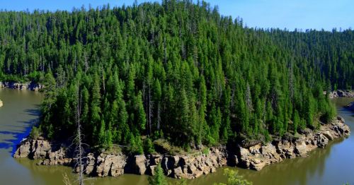 A lush, green island surrounded by calm water, with dense trees and rocky shores under a clear blue sky.